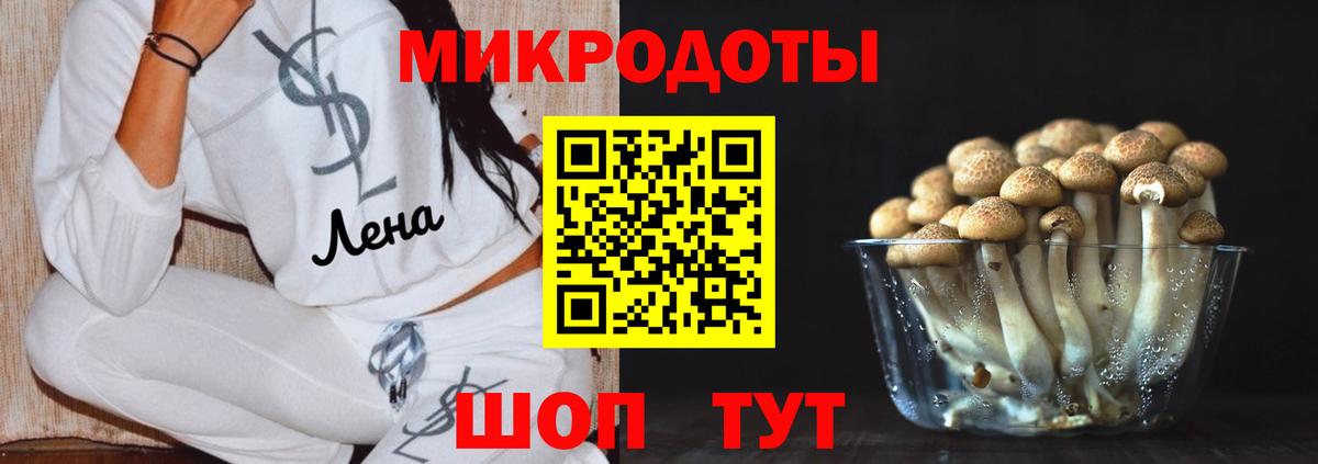 Изобильный  Псилоцибиновые грибы Psilocybe  цена   Вход с VPN 